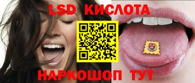 крисы Надым