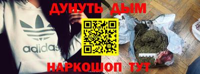 крисы Надым