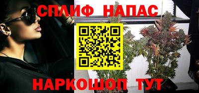 крисы Надым