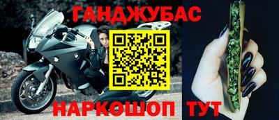 крисы Надым