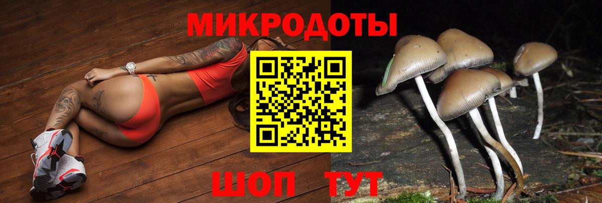 Псилоцибиновые грибы MAGIC MUSHROOMS Канаш